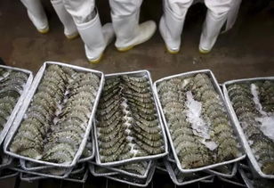 加拿大零售虾产品被曝携带 超级细菌 ,疑源自加工厂感染